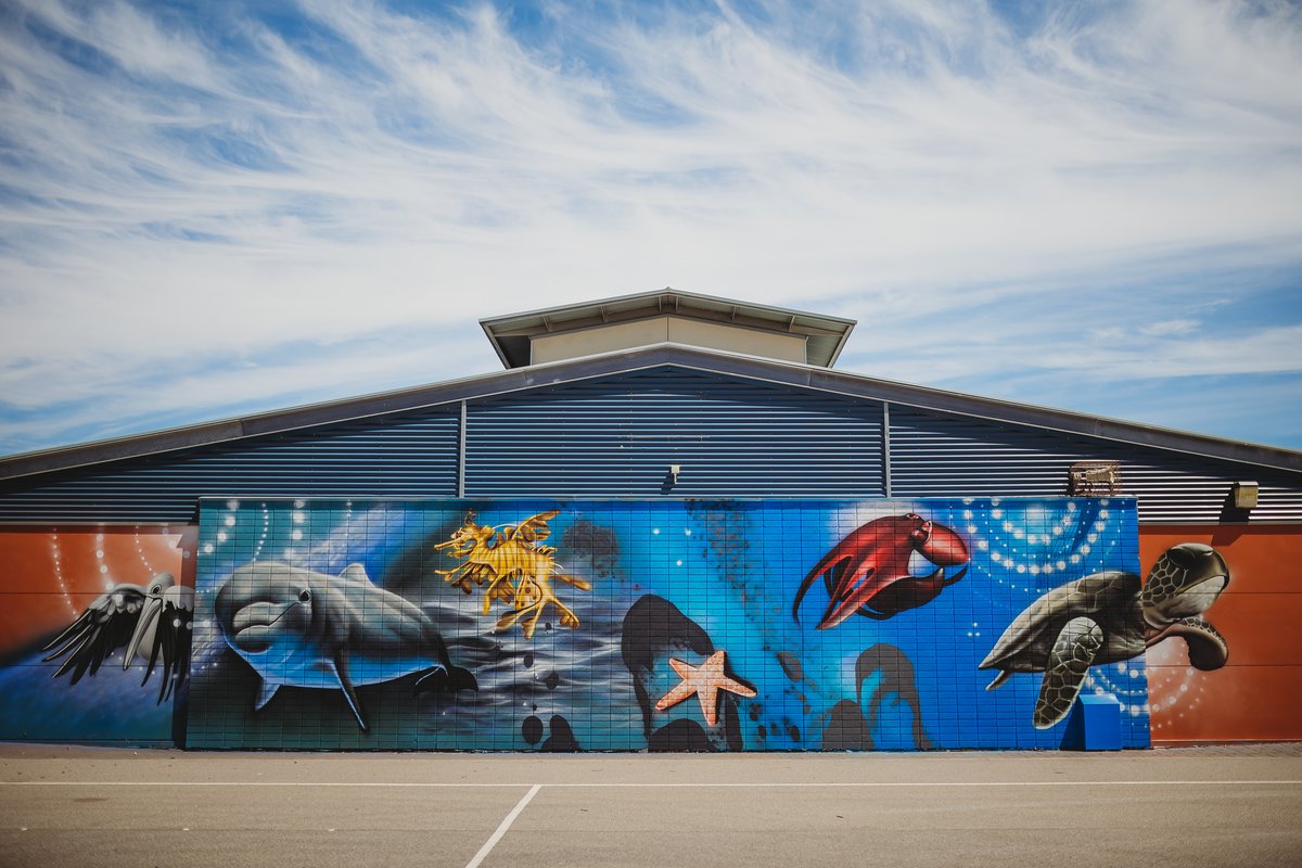 Image description: A painted wall mural by Thomas Readett and Shane Kooka on a pitched-roof building at West Lakes Shore Primary School. A blue cloudy sky is visible above the mural and grey asphalt is visible in the foreground. The mural depicts several 